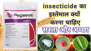 diafenthiuron 50 wp | pegasus insecticide price | pegasus insecticide | Mite, Thrips, Whitefly