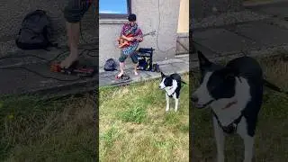 Bass Guitar Solo & Loop in E & G Major ft. Mak