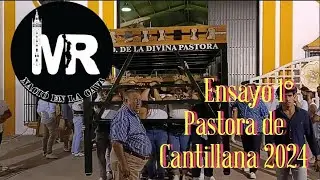 Ensayo 1° de la cuadrilla de costaleros de la Divina Pastora de Cantillana en 2024.