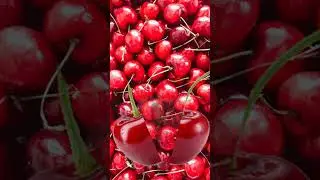 satisfying red cherries|cherry fruit#short #trending#viralvideo#shortvideo#redcherries#cherryfruit