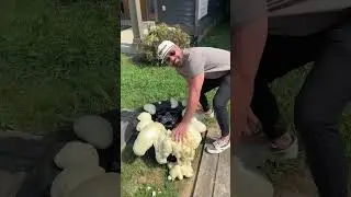 SPRAY FOAM TIRE: Does It Work?🧐