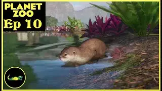 🐯 Planet Zoo Franchise Mode Ep10 - Asian Small-Clawed Otter Habitat - Dorafly
