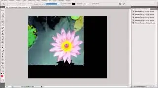 Sectores Photoshop CS5
