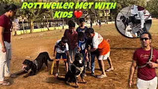 Rottweiler Behaviour With Kids And Met Big Pug Jimmy & Some Rottweiler Obedience Training | Day-350