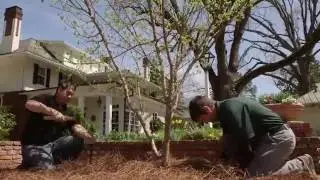 Outdoor Lighting Perspectives presents Transformation Augusta - Episode 3
