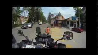 Cat runnover.wmv