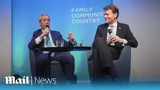 Reform sets out windfall tax on renewables in bid to undo Net Zero