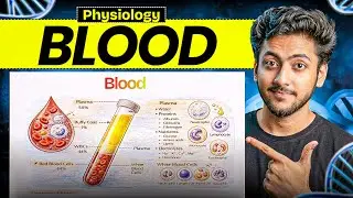 Physiology - Blood | MBBS 1st Year |  Full Explanation with Exam Notes | MBBS World