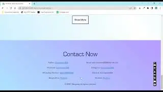 Portfolio Website