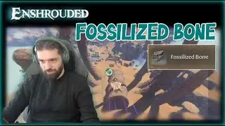 How to get fossilized bones