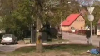 Wallflip Accident / Crash -  Treeflip?