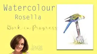 Watercolor Painting of Pale Headed Rosella- Work in Progress