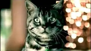 Bacardi Breezer - House Party (2002, UK)