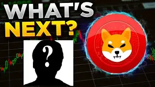 SHIBA INU COIN UPDATE |  MYSTERY AAA LEAD/CONSULTANT SPECULATION? FIND OUT NOW MUST WATCH