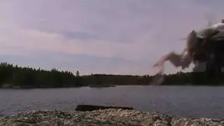 Authentic Bald Eagle Swoop Analysis