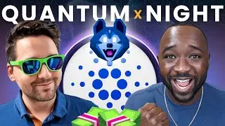 BREAKING: Quantum Hosky & Midnight Airdrop Reveal &ndash; Game-Changer for Cardano!