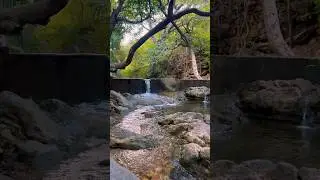 In the rush of life, find your peace in the flow.