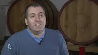Ulog za profit ep.19 - Destilerija - 11.02.2020.