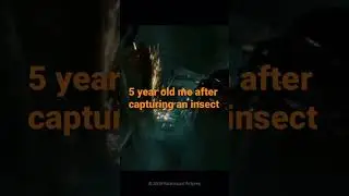 Die insect