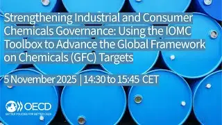Using the IOMC Toolbox to Advance the Global Framework on Chemicals (GFC) Targets