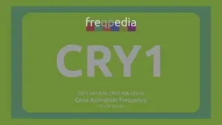 CRY1 (sleep cycle) Gene Activation Frequency