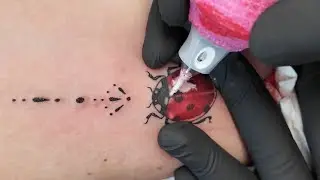 Lady bug tattoo