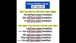 future perfect tense eat base verb