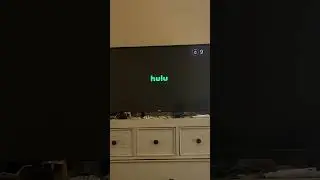 Hulu Startup (Roku Version)