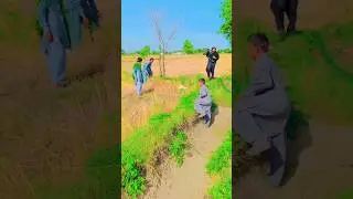 Batair ka shikar/ pointer dogs( shikar h shikar/ bater- FSJTV / بٹیر کا شکار/ 2024 * bird sound btr