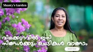 വിലക്കുറവിൽ ഇനി നിങ്ങൾക്കും ചെടികൾ വാങ്ങാം| SHANTY