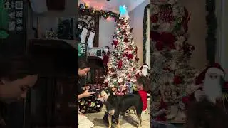 Откройте рождественский подарок 🎁🎁🎁