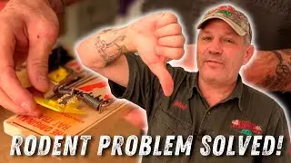 How To Get Rid of Rodents GUARANTEED | Wildlife Command Center