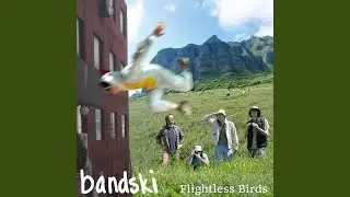 Flightless Birds