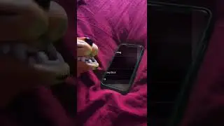 TIGER PUPPET DOES A APRIL FOOLS PRANK! #aprilfoolsday #shorts #lmao