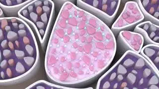 Fibre Clinix R&D Video