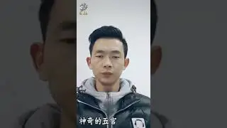 This video of mast shakals