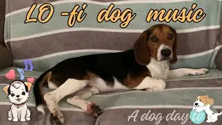 Lo-Fi Chill Beats For Anxious Dogs [dog music]