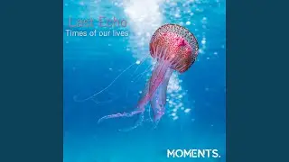 Time of Our Lives