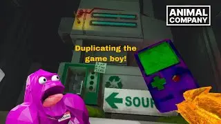 I duplicated the game boy in animal company! #vr￼