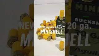Новая Aguila 20 калибра Minishell
