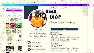 COMMENT CREER UN CV PROFESSIONNEL AVEC CANVA [100% GRATUIT]