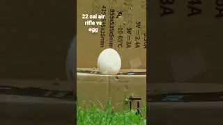 22 cal air rifle vs egg #ALsOutdoors #westvirginia #airguns