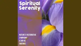 The Power of Reflective Sounds - 396 Hz Healing Tone