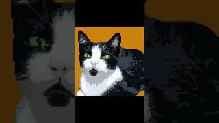 CUTE CAT PIXELART (ADRIELLY'S CAT -CHANNEL SUBSCRIPTION) #art #cat #shorts #catvideos #cat