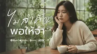 ไม่สำคัญพอให้จำ - Ansiree【Official Lyric Video】
