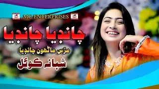 Chandia Chandia Murs Mahnu | Shabana Koyal | New Sindhi Song | Video Song | MC Enterprises