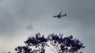  Bulimba, Brisbane QLD 