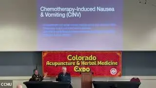 Cancer and Traditional Chinese Medicine: Integrative Approaches to Healing