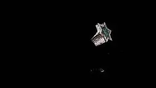 Vulke's Star of David Ring