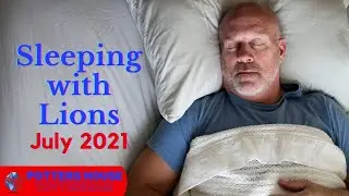 Sleeping With Lions- Ps Yussuf: July 2021